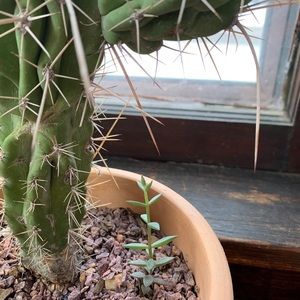 Meet your Posher, Dan